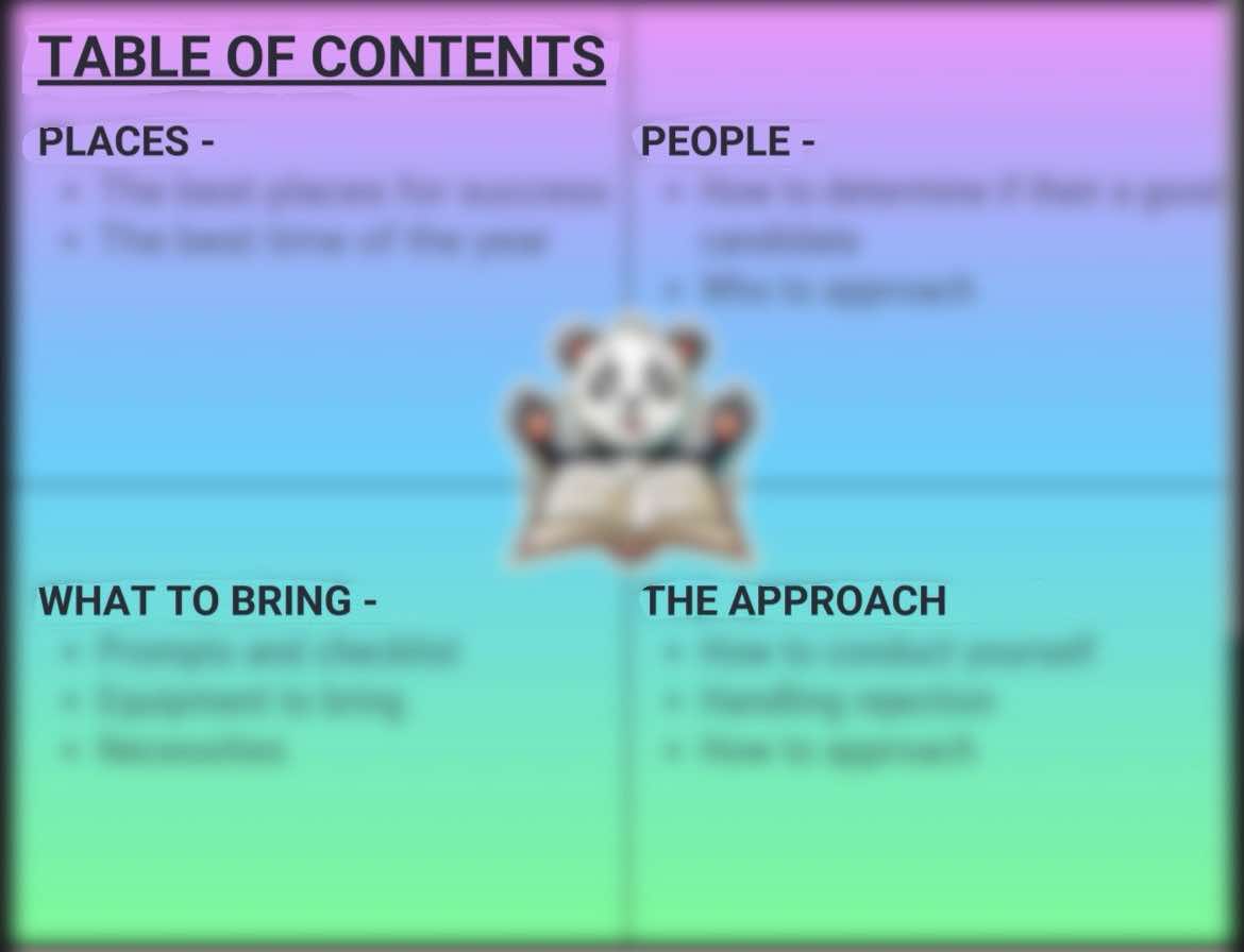Solepanda eBook PDF